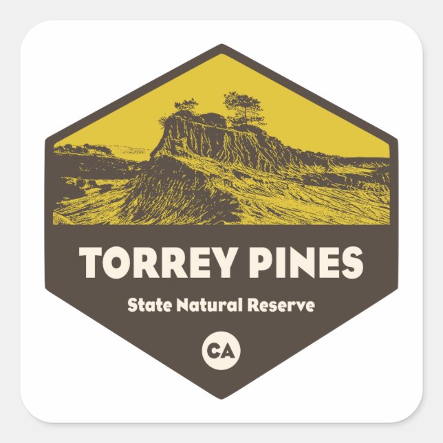 Torrey Pines State Reserve California Square Sticker (Front)