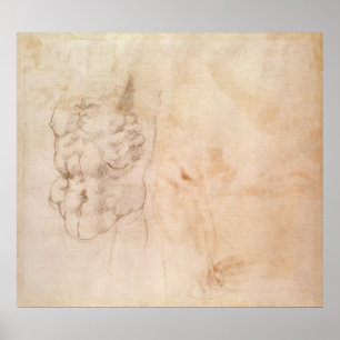 Torso Study Poster
