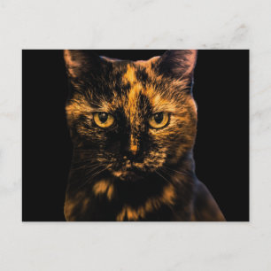 Tortie Cat Love Design #2  Postcard