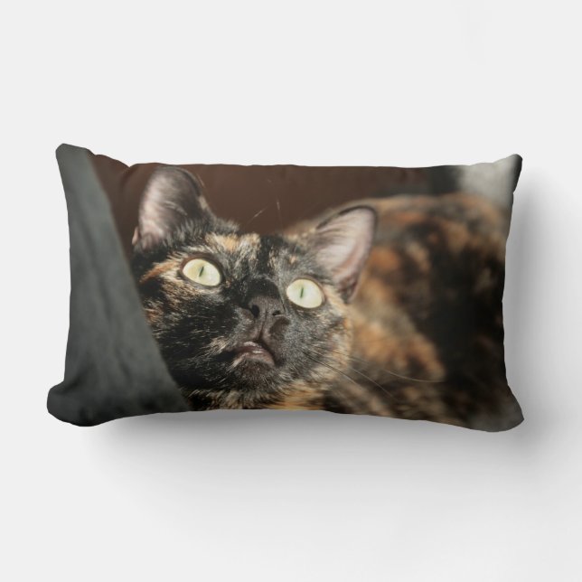 tortie cat pillow (Front)
