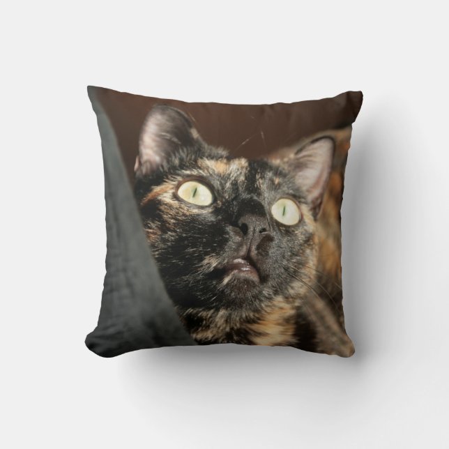 tortie cat pillow (Front)