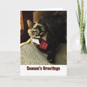 Tortie Season's Greeting Card, Starring Binga Holiday Card