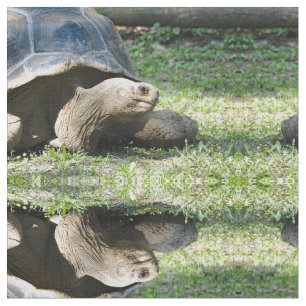 Tortoise 586 fabric