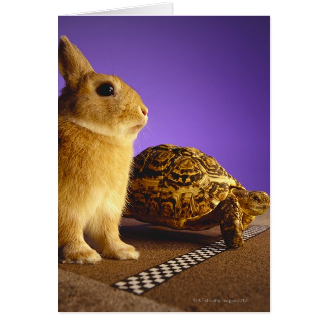 Tortoise and the hare (Front)