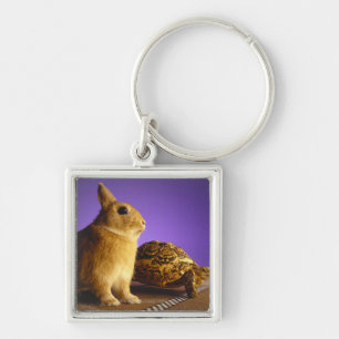 Tortoise and the hare key ring