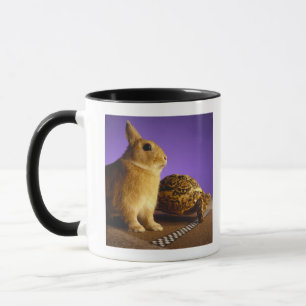 Tortoise and the hare mug