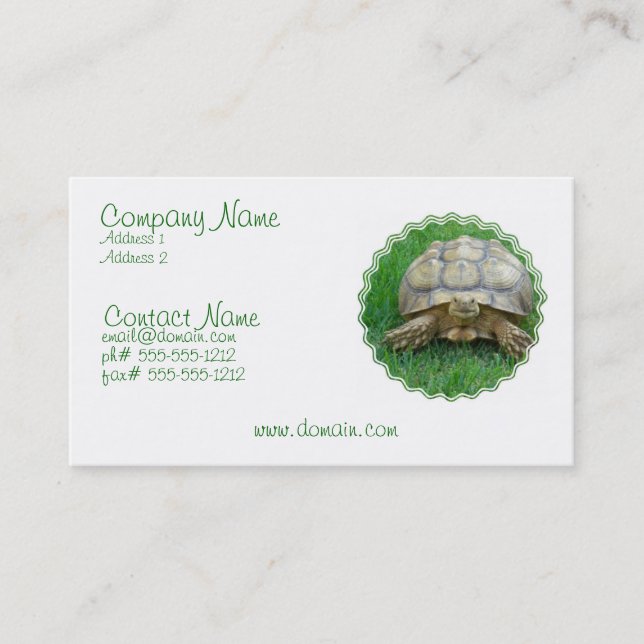 Tortoise Business Card (Front)