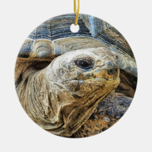 TORTOISE CERAMIC TREE DECORATION