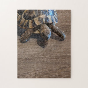 Tortoise Close-Up Jigsaw Puzzle