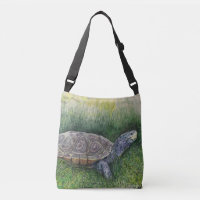 Tortoise