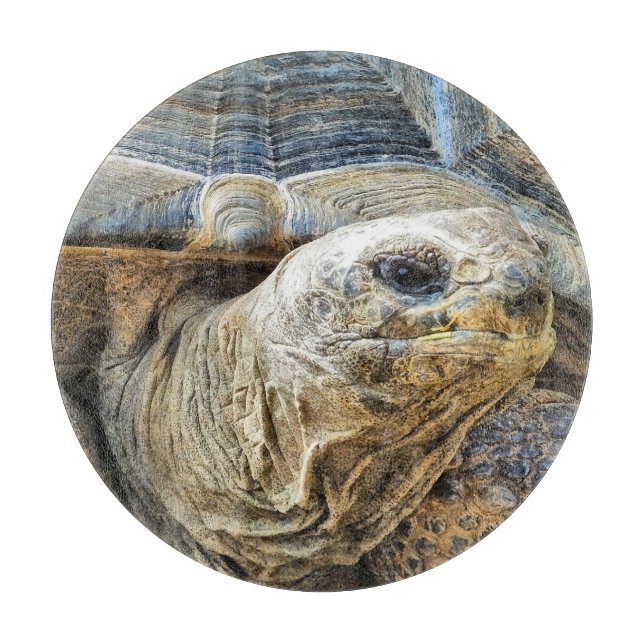 TORTOISE CUTTING BOARD (Front)