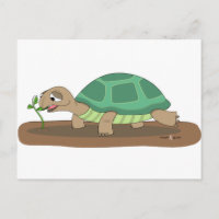 Tortoise eating
