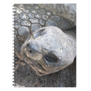 Tortoise Face Notebook