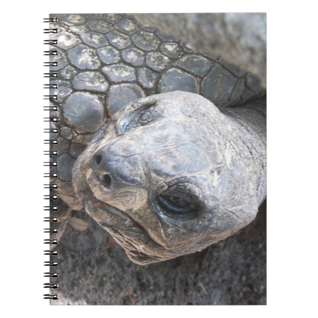 Tortoise Face Notebook (Front)