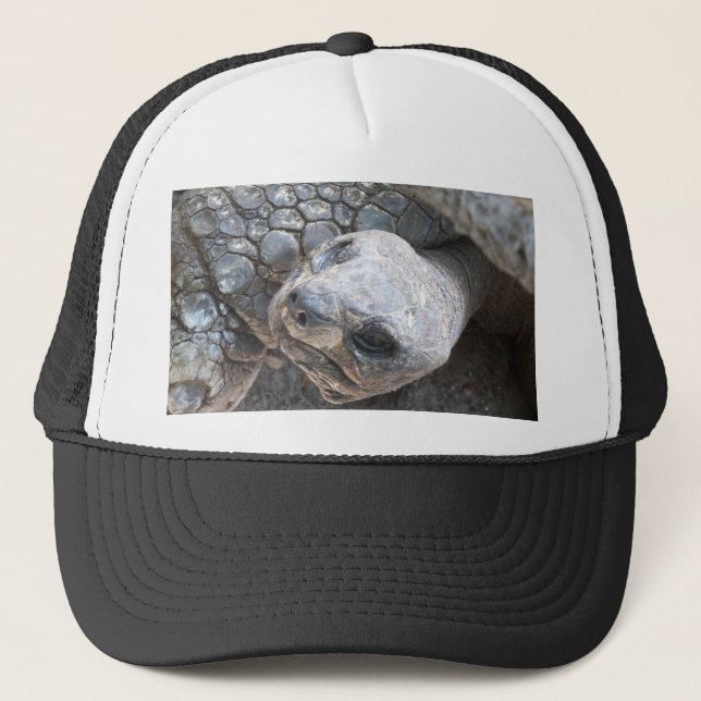 Tortoise Face Trucker Hat (Front)