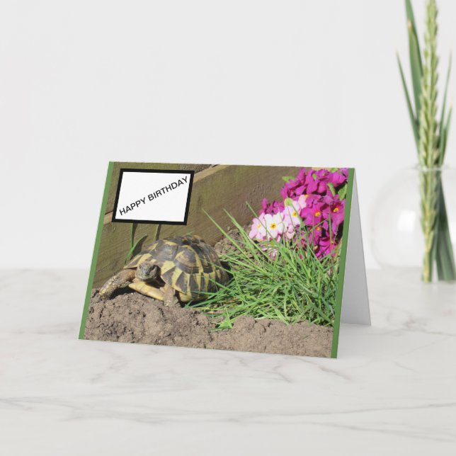 Tortoise Happy Birthday Card (Front)