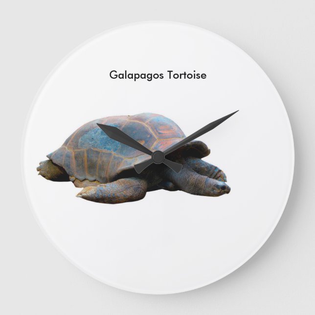 Tortoise image for Round-Wall-Clock Large Clock (Front)