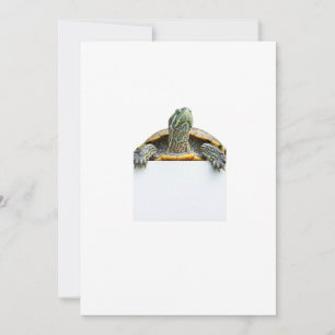 tortoise invitation
