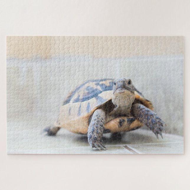 Tortoise Jigsaw Puzzle (Horizontal)