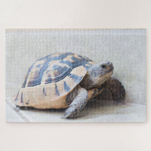 Tortoise Jigsaw Puzzle