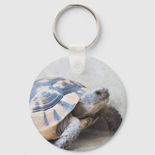 Tortoise Key Ring