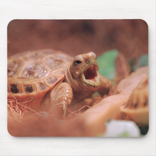 Tortoise Mouse Pad (Front)