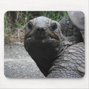 Tortoise Mousepad