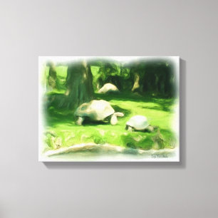 Tortoise Race Canvas Print