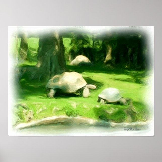 Tortoise Race Poster (Front)