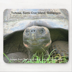 Tortoise, Santa Cruz Island, Galapagos Mouse Pad