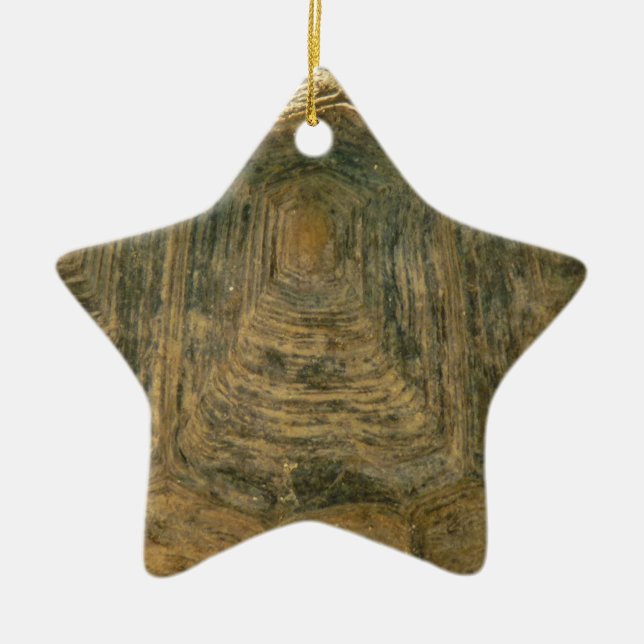 Tortoise Shell Abstract Nature Photo Ceramic Tree Decoration (Front)
