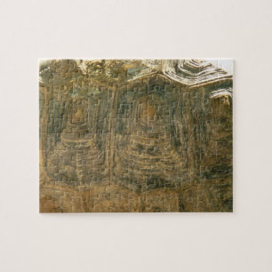 Tortoise Shell Abstract Nature Photo Jigsaw Puzzle