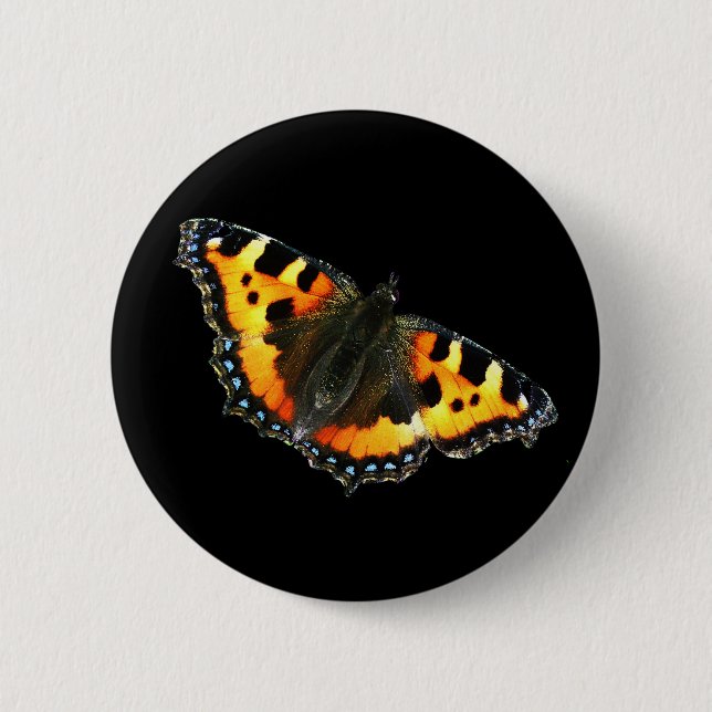 Tortoise shell butterfly 6 cm round badge (Front)