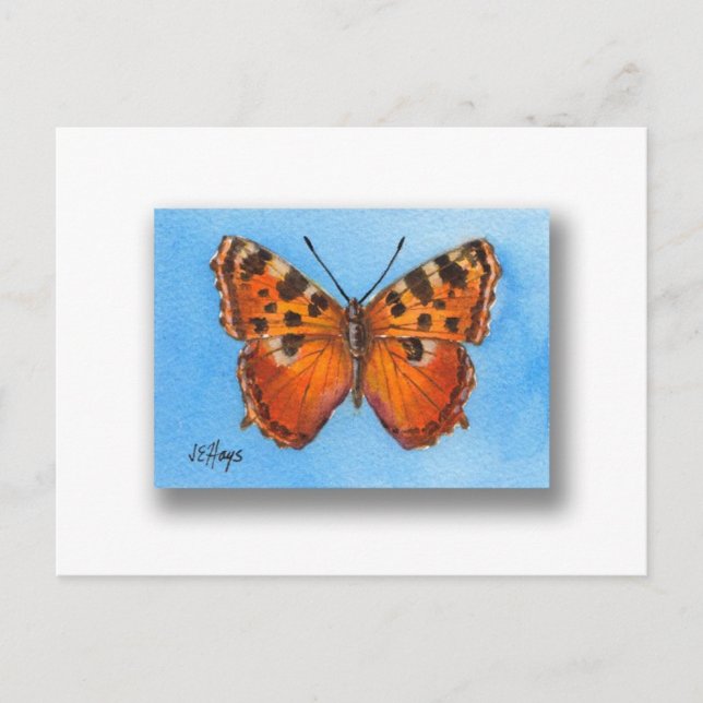 Tortoise Shell Butterfly Postcard (Front)