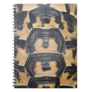 Tortoise shell notebook