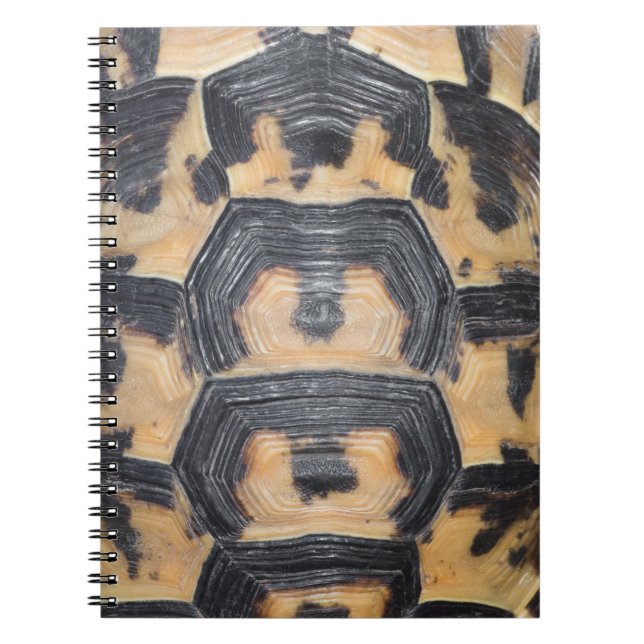 Tortoise shell notebook (Front)