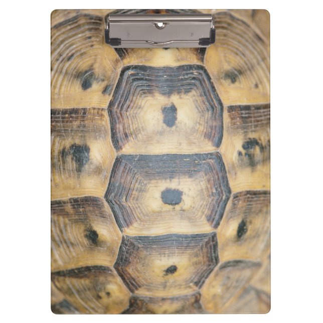 Tortoise Shell Pattern Clipboard (Front)