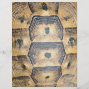 Tortoise Shell Pattern Flyer
