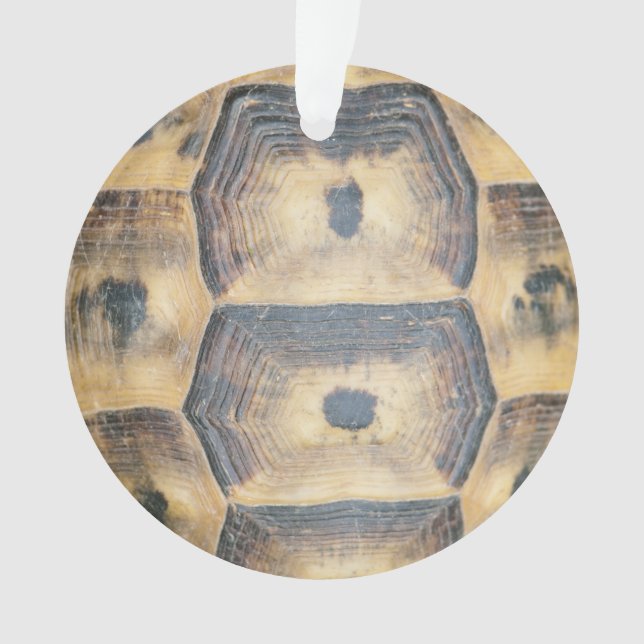 Tortoise Shell Pattern Ornament (Front)