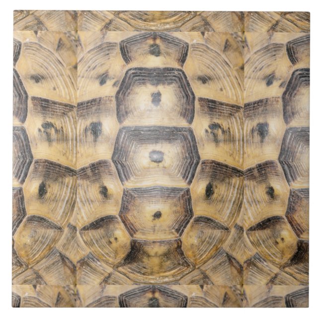 Tortoise shell pattern tile (Front)