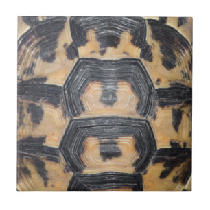 Tortoise shell tile