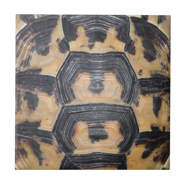 Tortoise shell tile (Front)