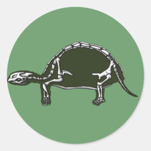 tortoise skeleton classic round sticker