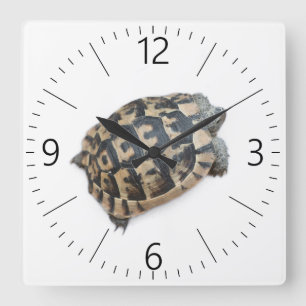 Tortoise Square Wall Clock