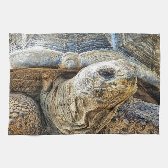 TORTOISE TEA TOWEL (Horizontal)