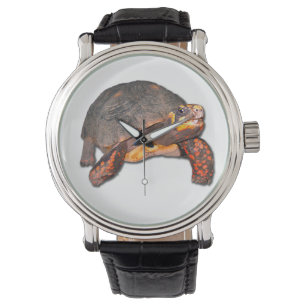 Tortoise Watch