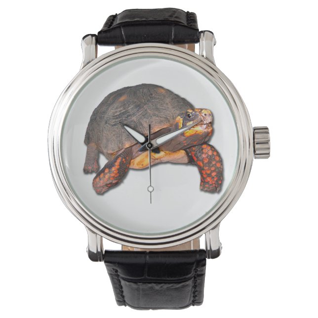 Tortoise Watch (Front)