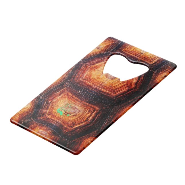Tortoiseshell (Front Angled)