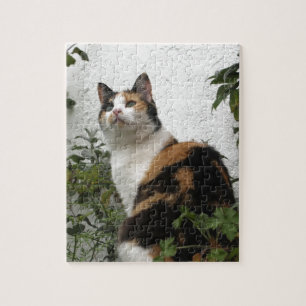 Tortoiseshell and White Cat Jigsaw Puzzle