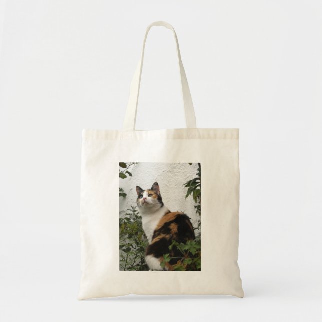 Tortoiseshell and White Cat Tote Bag (Front)